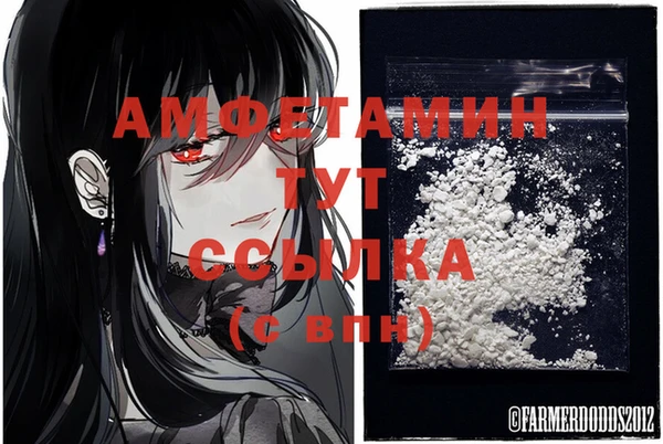 винт Абаза