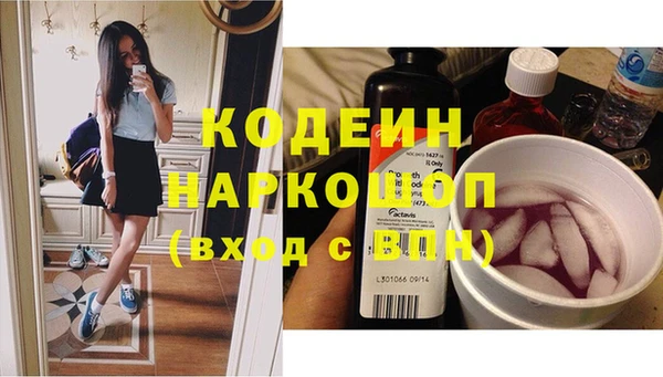 винт Абаза