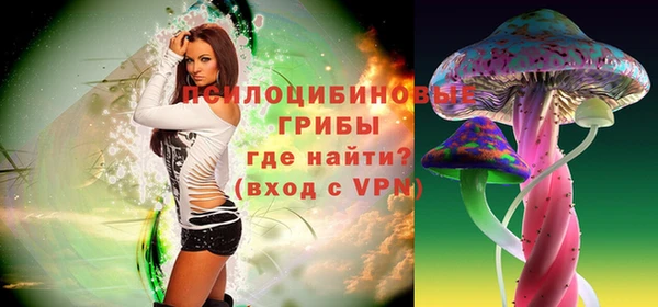 мяу мяу мука Алексеевка