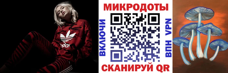 магазин наркотиков Брюховецкая Галлюциногенные грибы Psilocybe